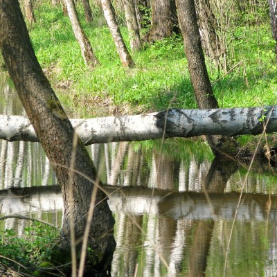 1920 x 1080 HD Wallpapers 3334